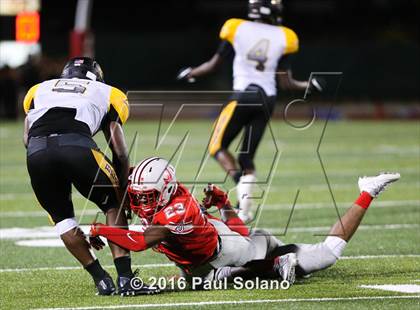 Thumbnail 2 in Brennan @ Judson photogallery.