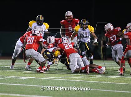 Thumbnail 2 in Brennan @ Judson photogallery.