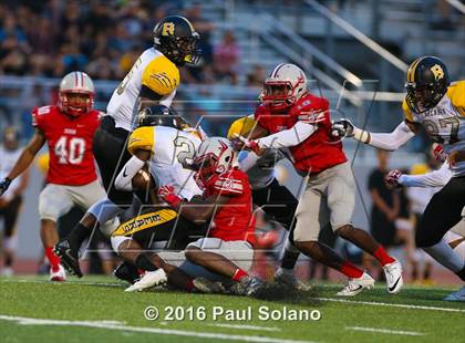 Thumbnail 2 in Brennan @ Judson photogallery.