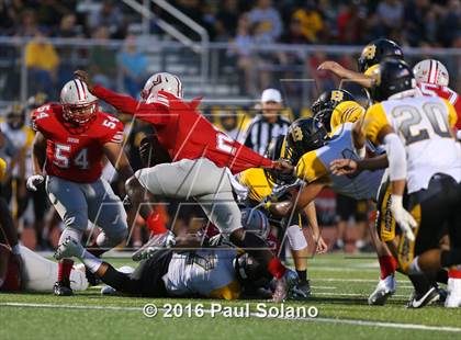 Thumbnail 3 in Brennan @ Judson photogallery.