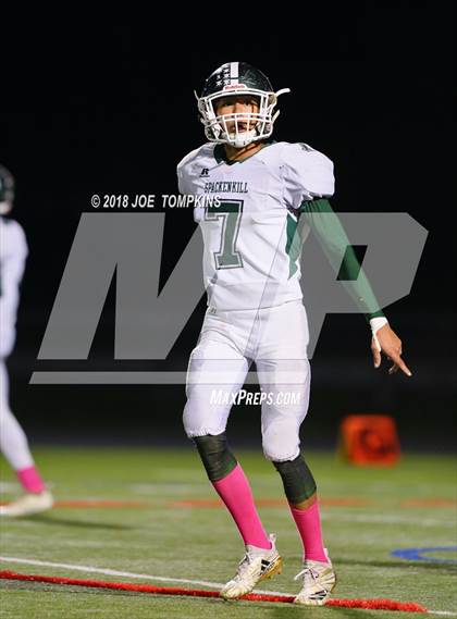 Thumbnail 1 in Spackenkill @ Marlboro Central photogallery.