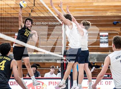 Thumbnail 3 in Newport Harbor @ Torrey Pines ()2025 CIF State Boys Volleyball Championships) photogallery.