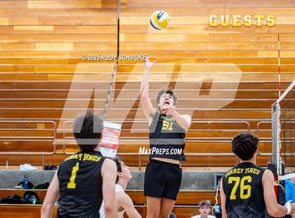Thumbnail 3 in Newport Harbor @ Torrey Pines ()2025 CIF State Boys Volleyball Championships) photogallery.