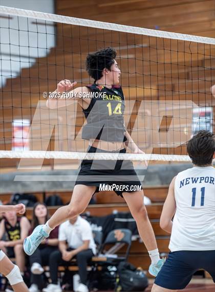 Thumbnail 2 in Newport Harbor @ Torrey Pines ()2025 CIF State Boys Volleyball Championships) photogallery.