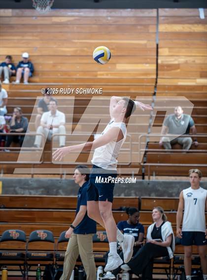 Thumbnail 2 in Newport Harbor @ Torrey Pines ()2025 CIF State Boys Volleyball Championships) photogallery.