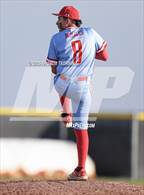 Photo from the gallery "Terry @ Randle"