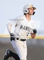 Photo from the gallery "Terry @ Randle"