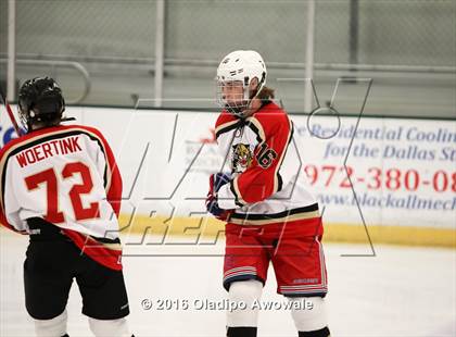 Thumbnail 3 in Lovejoy/Plano East @ Frisco photogallery.