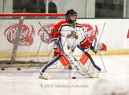 Thumbnail 1 in Lovejoy/Plano East @ Frisco photogallery.