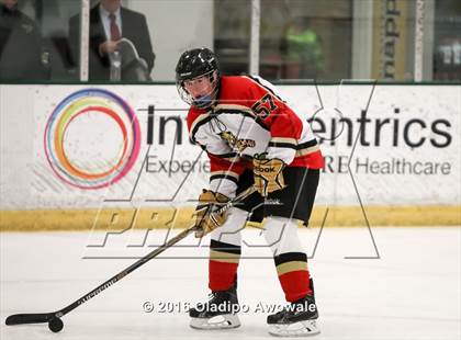 Thumbnail 1 in Lovejoy/Plano East @ Frisco photogallery.