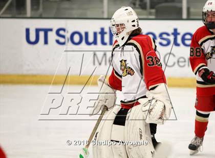 Thumbnail 1 in Lovejoy/Plano East @ Frisco photogallery.