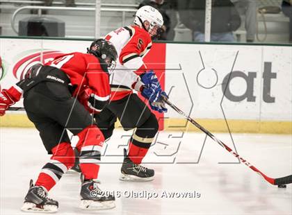 Thumbnail 1 in Lovejoy/Plano East @ Frisco photogallery.