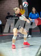 Photo from the gallery "Bridgeport vs. Elkins (WVSSAC Class AAA Quarterfinal)"