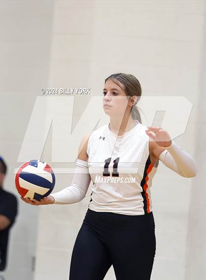 Thumbnail 1 in Grand Saline vs Alba-Golden photogallery.