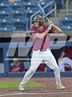 Photo from the gallery "Hollidaysburg vs. Governor Mifflin (PIAA 5A Championship)"