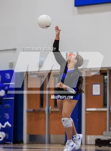 null - Photo 11