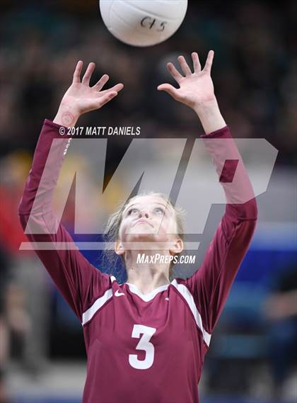 Thumbnail 1 in Chatfield vs. Denver East (CHSAA 5A Pool 2 Playoff) photogallery.