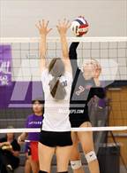 Photo from the gallery "Paradise Valley @ North Canyon"