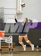 Photo from the gallery "Paradise Valley @ North Canyon"