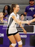 Photo from the gallery "Paradise Valley @ North Canyon"