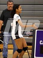 Photo from the gallery "Paradise Valley @ North Canyon"