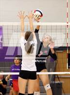Photo from the gallery "Paradise Valley @ North Canyon"