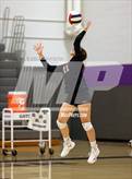Photo from the gallery "Paradise Valley @ North Canyon"