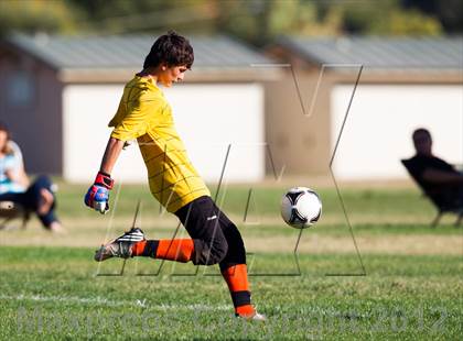 Thumbnail 2 in Antelope @ El Camino photogallery.