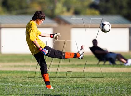 Thumbnail 3 in Antelope @ El Camino photogallery.