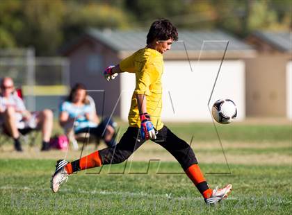 Thumbnail 1 in Antelope @ El Camino photogallery.