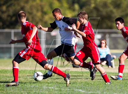 Thumbnail 2 in Antelope @ El Camino photogallery.