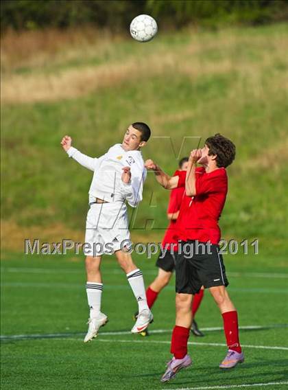 Thumbnail 2 in Milton @ Needham photogallery.