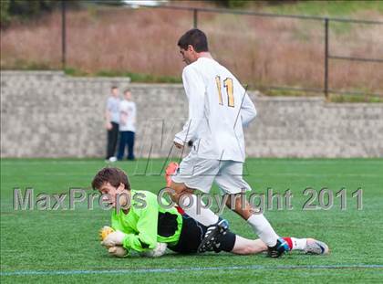 Thumbnail 1 in Milton @ Needham photogallery.