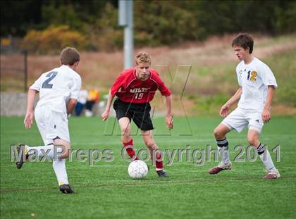 Thumbnail 2 in Milton @ Needham photogallery.