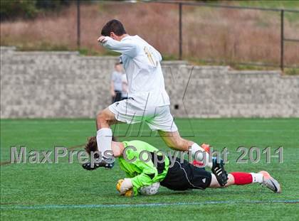 Thumbnail 2 in Milton @ Needham photogallery.