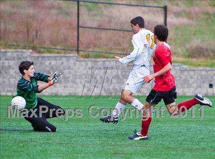 Thumbnail 2 in Milton @ Needham photogallery.