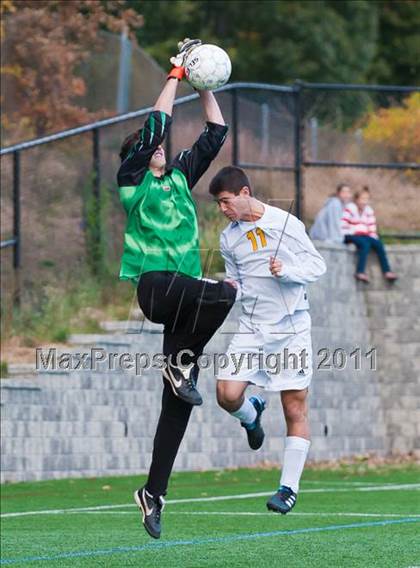 Thumbnail 1 in Milton @ Needham photogallery.