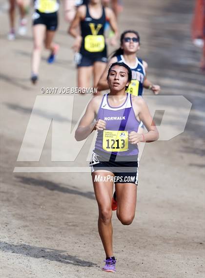 Thumbnail 2 in CIF State Cross Country Championships (Girls D2 Race) photogallery.