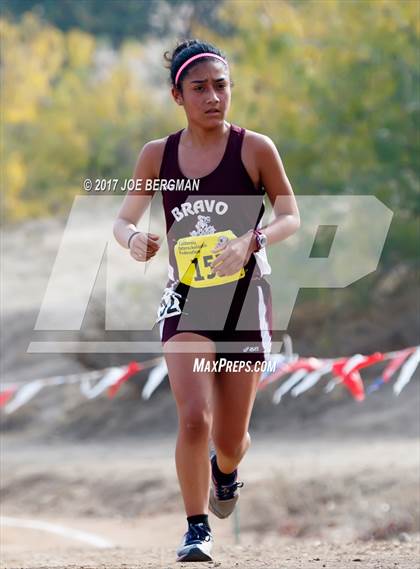 Thumbnail 2 in CIF State Cross Country Championships (Girls D2 Race) photogallery.