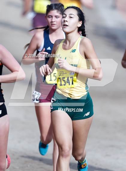 Thumbnail 2 in CIF State Cross Country Championships (Girls D2 Race) photogallery.