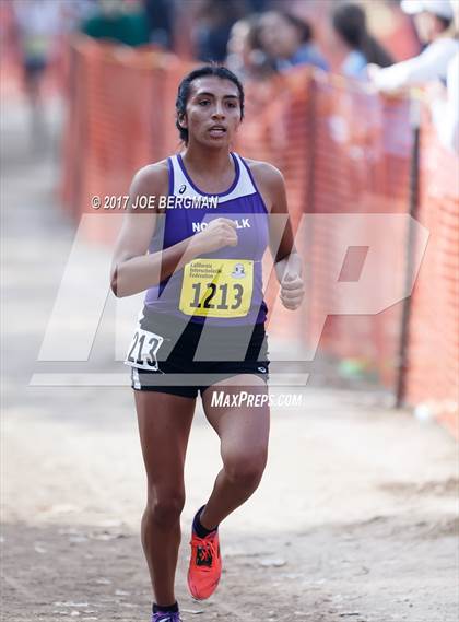 Thumbnail 1 in CIF State Cross Country Championships (Girls D2 Race) photogallery.