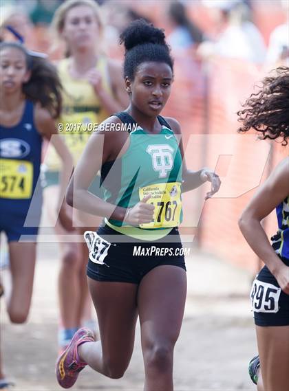 Thumbnail 2 in CIF State Cross Country Championships (Girls D2 Race) photogallery.