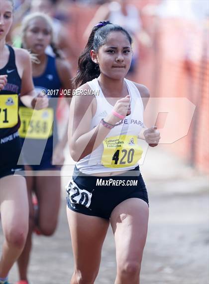 Thumbnail 2 in CIF State Cross Country Championships (Girls D2 Race) photogallery.