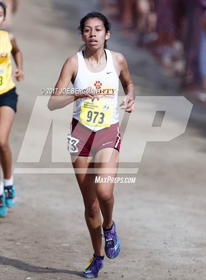 Thumbnail 3 in CIF State Cross Country Championships (Girls D2 Race) photogallery.