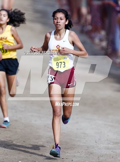Thumbnail 1 in CIF State Cross Country Championships (Girls D2 Race) photogallery.