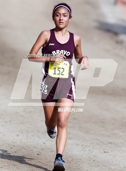 Thumbnail 1 in CIF State Cross Country Championships (Girls D2 Race) photogallery.