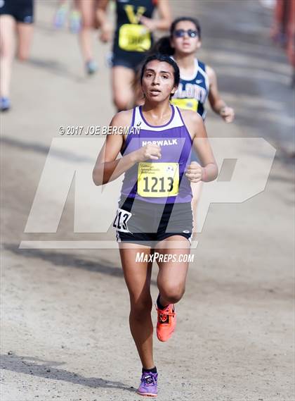 Thumbnail 1 in CIF State Cross Country Championships (Girls D2 Race) photogallery.