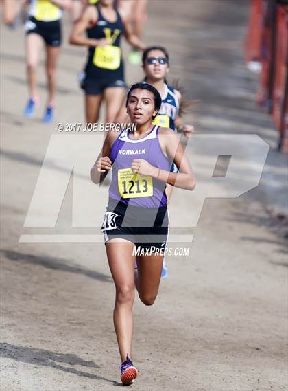 Thumbnail 1 in CIF State Cross Country Championships (Girls D2 Race) photogallery.