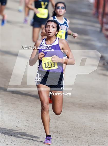 Thumbnail 3 in CIF State Cross Country Championships (Girls D2 Race) photogallery.
