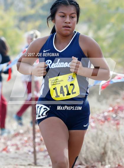 Thumbnail 3 in CIF State Cross Country Championships (Girls D2 Race) photogallery.